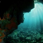 Fondos Submarinos de San Andrés y Sauces · La Palma · Apartamentos Miriam