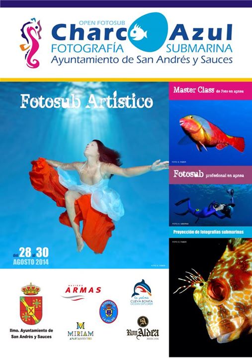Cartel Concurso de Fotografía Submarina Open Fotosub Charco Azul 2014